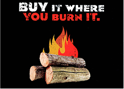 Buy it where you burn it